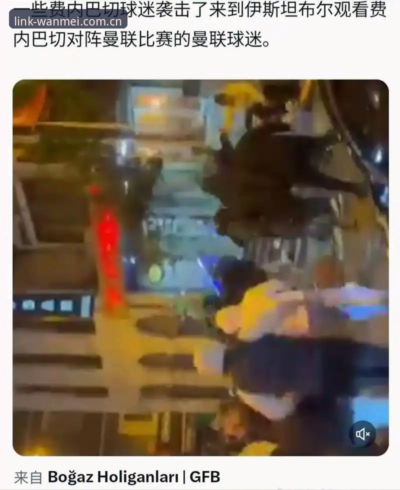 揭秘世界杯“冷场”背后的真相：约旦土耳其球迷梦碎，完美体育平台深度解读
